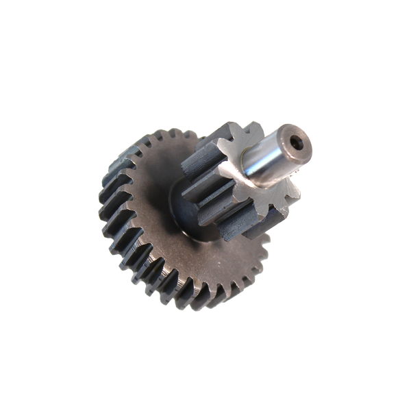 ingranaggio-duplo-rinforzato-z10-denti-dritti-z29-denti-elicoidali-evok-ciao-si-bravo-con-variatore-178696-rms