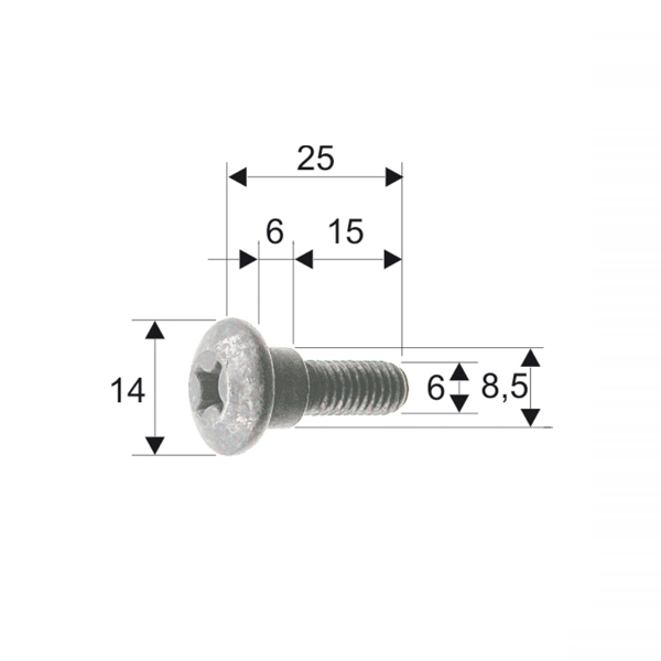 vite-carrozzeria-classic-piaggio-gilera-298086-575249-rms