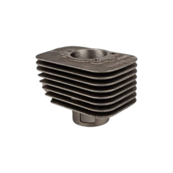 75cc 46mm Cast Iron Cylinder Kit with 10mm Pin for Piaggio Ciao - Polini