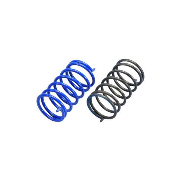 Contrast Spring Kit for Piaggio - Polini